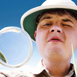 SEOProfis ist online